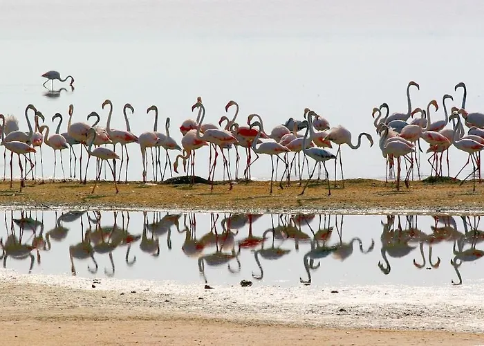 Mas Des Iles D'or - Vue Unique, Piscine Chauffee, Jacuzzi, Tennis Villa Hyères