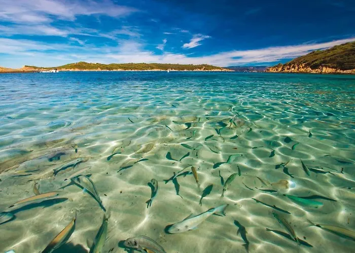 Mas Des îles D'or - Vue Unique, Piscine Chauffée, Jacuzzi, Tennis
